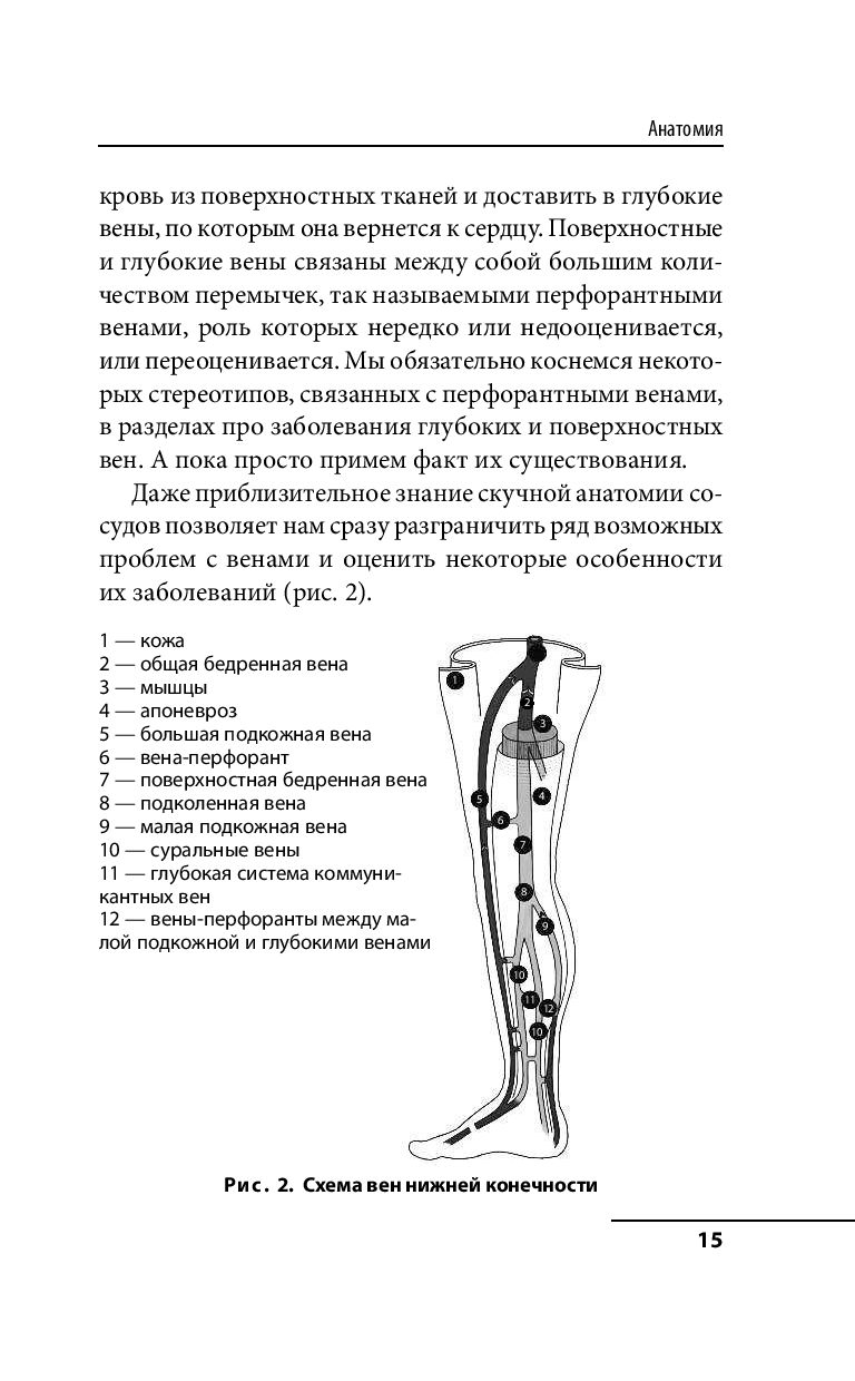 Варикоз, тромбоз и другие заболевания вен, которые можно и нужно лечить  Евгений Илюхин - купить книгу Варикоз, тромбоз и другие заболевания вен,  которые можно и нужно лечить в Минске — Издательство Эксмо