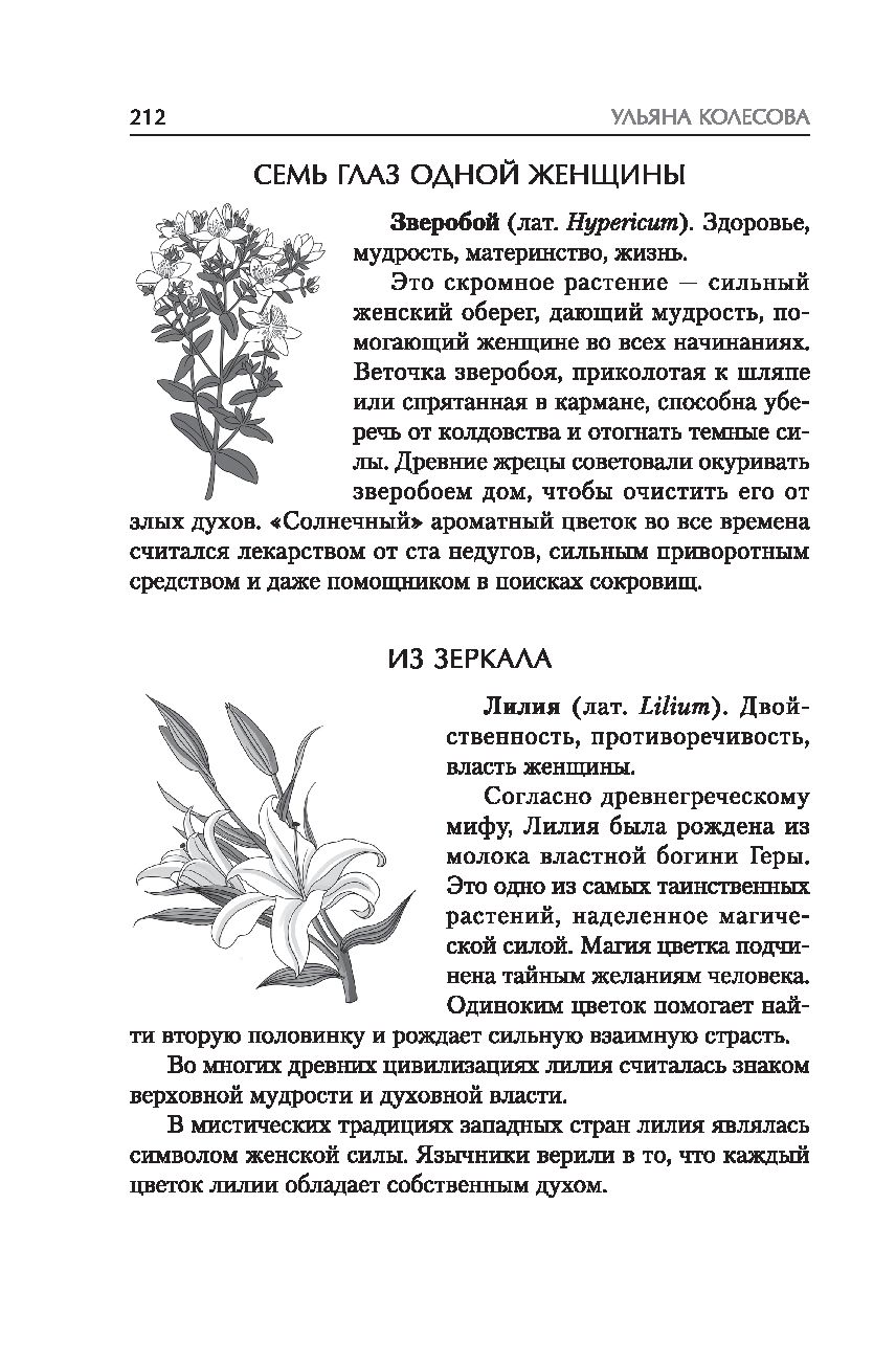 Суп из крыла ангела: притчи о любви Ульяна Колесова - купить книгу Суп из  крыла ангела: притчи о любви в Минске — Издательство Феникс на OZ.by