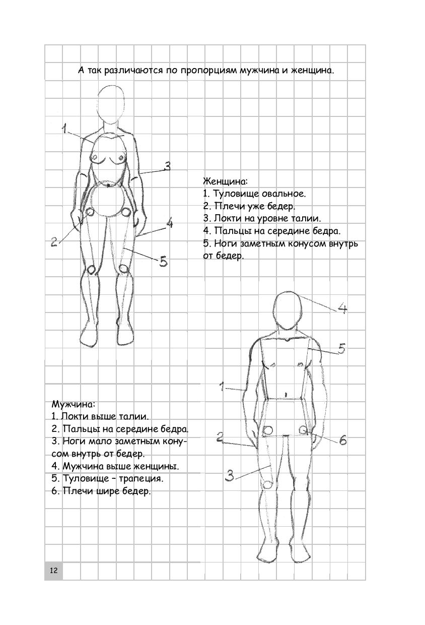 Курс рисования человека для начинающих