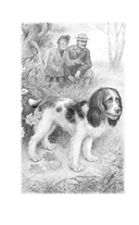 Сказки и рассказы о животных — фото, картинка — 2