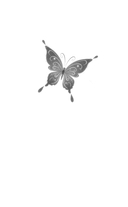 Кошачий глаз в волшебный час — фото, картинка — 1