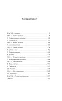 Цепи Эймерика — фото, картинка — 5