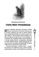 (Ня)чысты Мінск — фото, картинка — 3