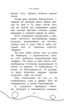 Большая кошачья книга — фото, картинка — 13