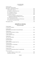 Высокое искусство — фото, картинка — 20