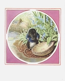 Хвостик Мистера Симпатяги — фото, картинка — 3