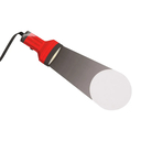 По следам динозавров — фото, картинка — 4