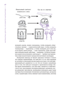 Математика для тех, кто боится математики: Еще одна книга с дурацкими рисунками — фото, картинка — 24