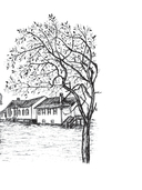 Мила – Ветер в волосах — фото, картинка — 3