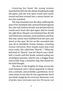 Собачье сердце — фото, картинка — 8