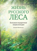 Жизнь русского леса — фото, картинка — 3