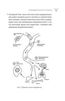 Нестрашная книга о раке. Книга-ориентир для тех, кто ищет информацию и поддержку — фото, картинка — 18