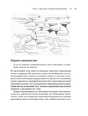 Тайм-менеджмент по помидору. Как концентрироваться на одном деле хотя бы 25 минут — фото, картинка — 22