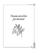 Тёмная сторона растений: колдовство, яды и удивительные свойства — фото, картинка — 15