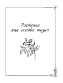 Тёмная сторона растений: колдовство, яды и удивительные свойства — фото, картинка — 9