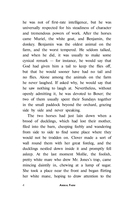 Animal Farm — фото, картинка — 4