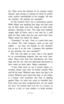 Animal Farm — фото, картинка — 9