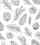 Феи зимнего леса. Раскраска — фото, картинка — 4