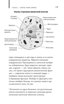 Анатомия. Разоблачение человека — фото, картинка — 13