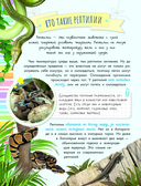 Змеи, ящерицы, черепахи — фото, картинка — 2