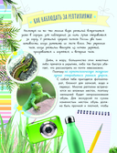 Змеи, ящерицы, черепахи — фото, картинка — 6