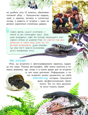 Змеи, ящерицы, черепахи — фото, картинка — 7