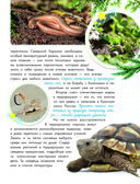 Змеи, ящерицы, черепахи — фото, картинка — 9