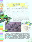 Змеи, ящерицы, черепахи — фото, картинка — 10