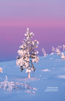 Ближе, чем ты думаешь. Места силы — фото, картинка — 5