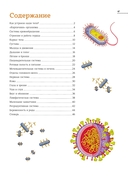 Тело человека. Атлас анатомии в картинках — фото, картинка — 1