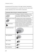 Гормоны счастья. Приучите свой мозг вырабатывать серотонин, дофамин, эндорфин и окситоцин — фото, картинка — 17