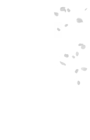 Без стыда — фото, картинка — 13