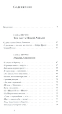 Книга об американской поэзии — фото, картинка — 1