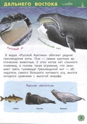 Чудеса родной природы — фото, картинка — 2