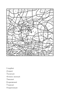 Раскраска по номерам — фото, картинка — 11