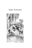 Сын Тарзана. Тарзан и сокровища Опара. Истории из джунглей — фото, картинка — 4