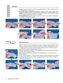 188 дизайнерских УЗОРОВ. Большая книга авторских схем для вязания на спицах — фото, картинка — 14