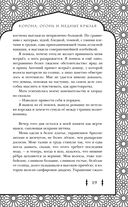 Корона, Огонь и Медные Крылья — фото, картинка — 19