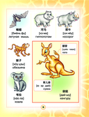 Китайско-русский визуальный словарь для детей — фото, картинка — 11