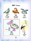 Китайско-русский визуальный словарь для детей — фото, картинка — 12