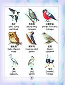 Китайско-русский визуальный словарь для детей — фото, картинка — 13