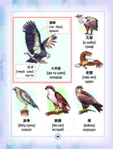 Китайско-русский визуальный словарь для детей — фото, картинка — 14