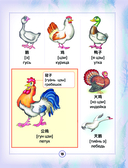 Китайско-русский визуальный словарь для детей — фото, картинка — 15