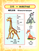 Китайско-русский визуальный словарь для детей — фото, картинка — 4