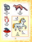 Китайско-русский визуальный словарь для детей — фото, картинка — 7