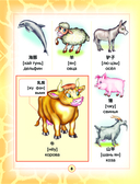 Китайско-русский визуальный словарь для детей — фото, картинка — 8