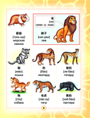 Китайско-русский визуальный словарь для детей — фото, картинка — 9