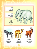 Китайско-русский визуальный словарь для детей — фото, картинка — 10