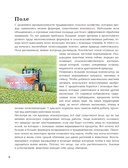 Животные рядом с нами — фото, картинка — 13