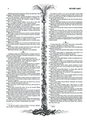 Библия. Священное Писание Ветхого и Нового Завета — фото, картинка — 7